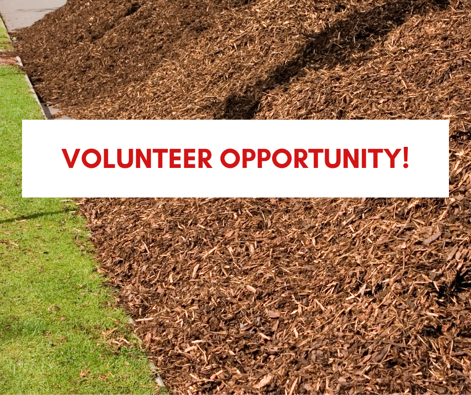 Volunteer Opportunity for Lee Township Park